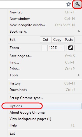 Chrome Options menu