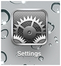 Значок Settings (Настройки) на iPad