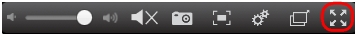Toggle full-view icon